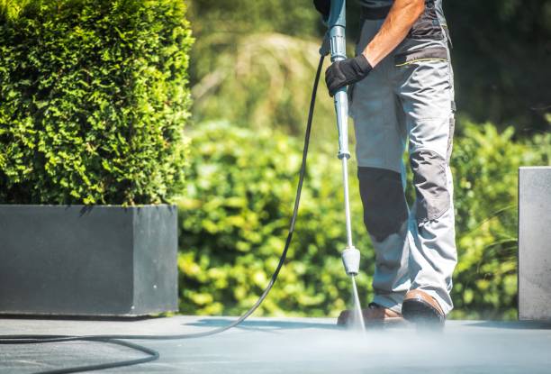 Boat and Dock Cleaning in Bonadelle Ranchos, CA