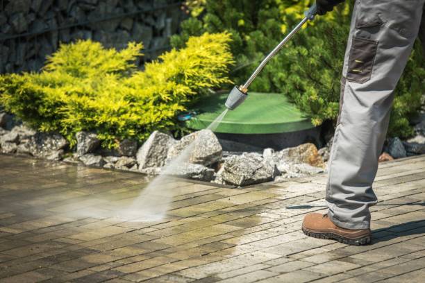 Best Sidewalk and Walkway Cleaning  in Bonadelle Ranchos, CA